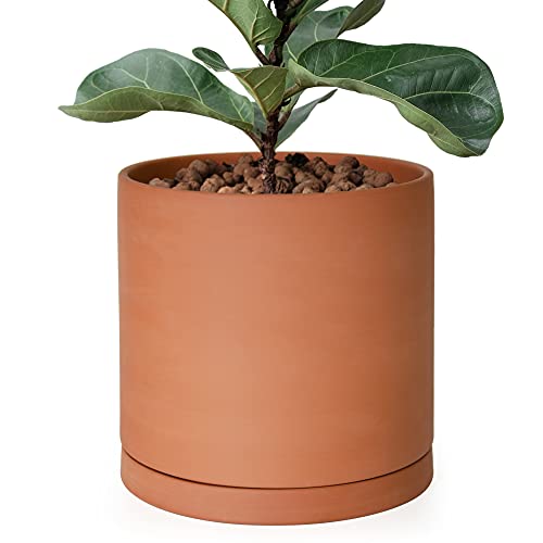 D'vine Dev Large 10 Inch Terracotta Plant Pot with Drainage Hole and Saucer