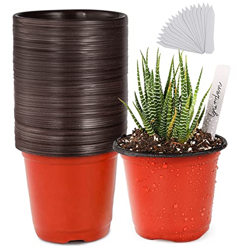 TDHDIKE Plastic Planter Nursery Pots 4" Small (50pcs Pots and 50pcs Labels) Seedlings Flower Pots Container Seed Starting Pots for Plants