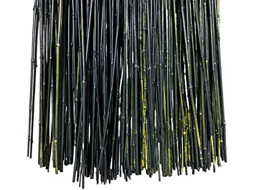 5.5 Feet Natural Thin Bamboo Stakes - Over 5 Feet Tall - Pack of 20 - Multiple Colors Available! (Black)