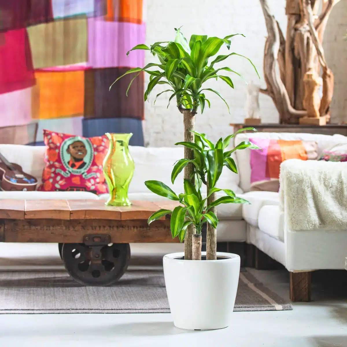 A bright living room featuring a rustic wooden coffee table on wheels, a vibrant multi-colored wall tapestry, decorative green vase, eclectic throw pillows, and a lush green potted plant in a white ceramic pot, highlighting one of the best plants for bedroom decor.