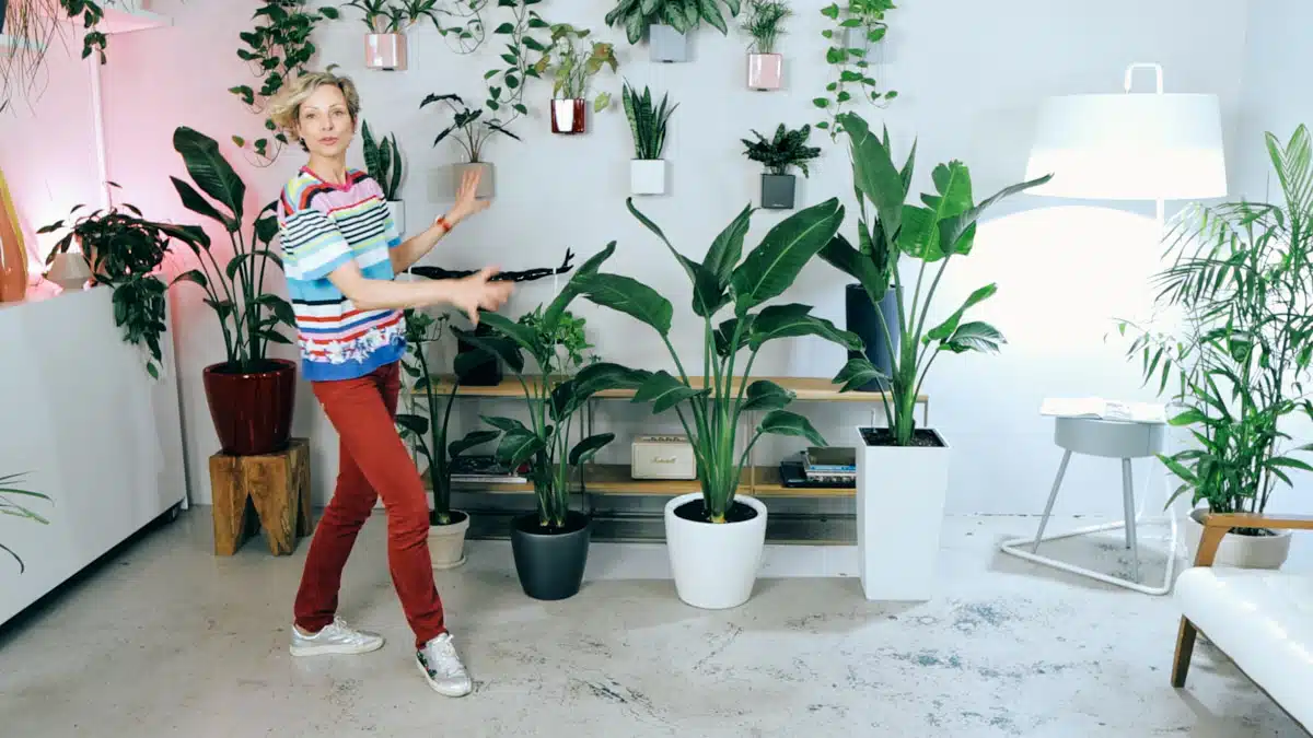 Juliette is standing in a modern indoor room full of various green potted plants, including large bird of paradise plant arrangements after dividing them, with a wall-mounted arrangement of smaller greenery in the background, under a warm glowing light.
