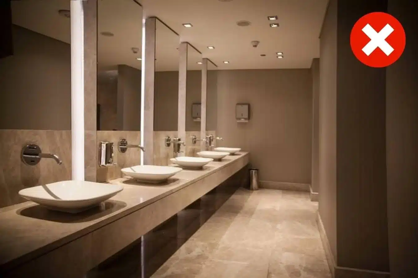Image of dark restroom where plants will not survive