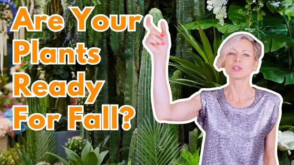 Fall plant care tips