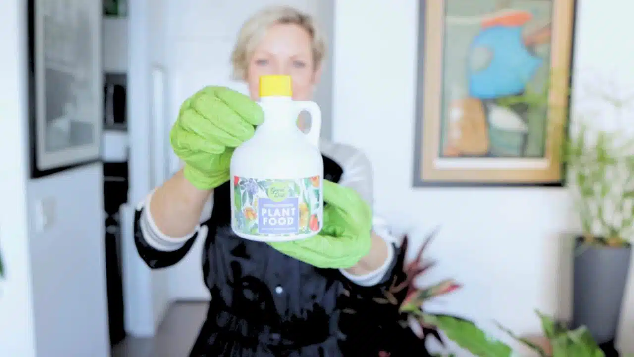Juliette in a black and white outfit, with bright green gardening gloves, holding up a bottle of plant food, stands in a well-lit room adorned with artwork and indoor plants. The focus is on the plant food bottle, with the smiling Juliette slightly blurred in the background, emphasizing the importance of fertilizing plants.