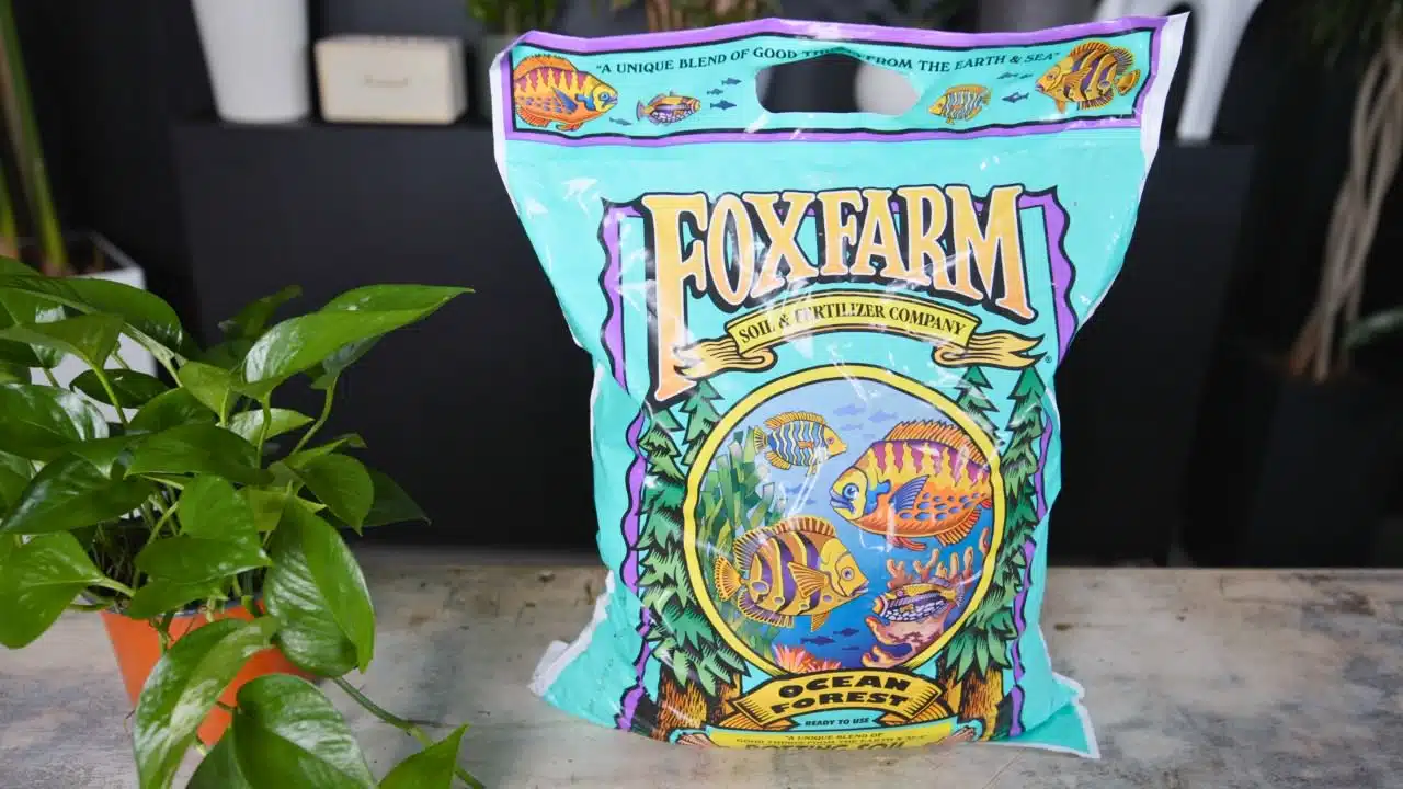 A colorful bag of FoxFarm Ocean Forest soil and fertilizer, showcasing vibrant fish and aquatic designs, prominently displayed with lush green leaves of a nearby potted plant in a modern indoor setting. Ideal for gardening enthusiasts looking for high-quality organic soil for healthy plant growth.