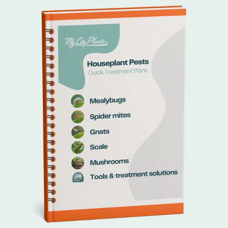 Houseplant Pests Quick Treatment Plans guidebook cover from My City Plants with sections on mealybugs, spider mites, gnats, scale, mushrooms, and treatment solutions