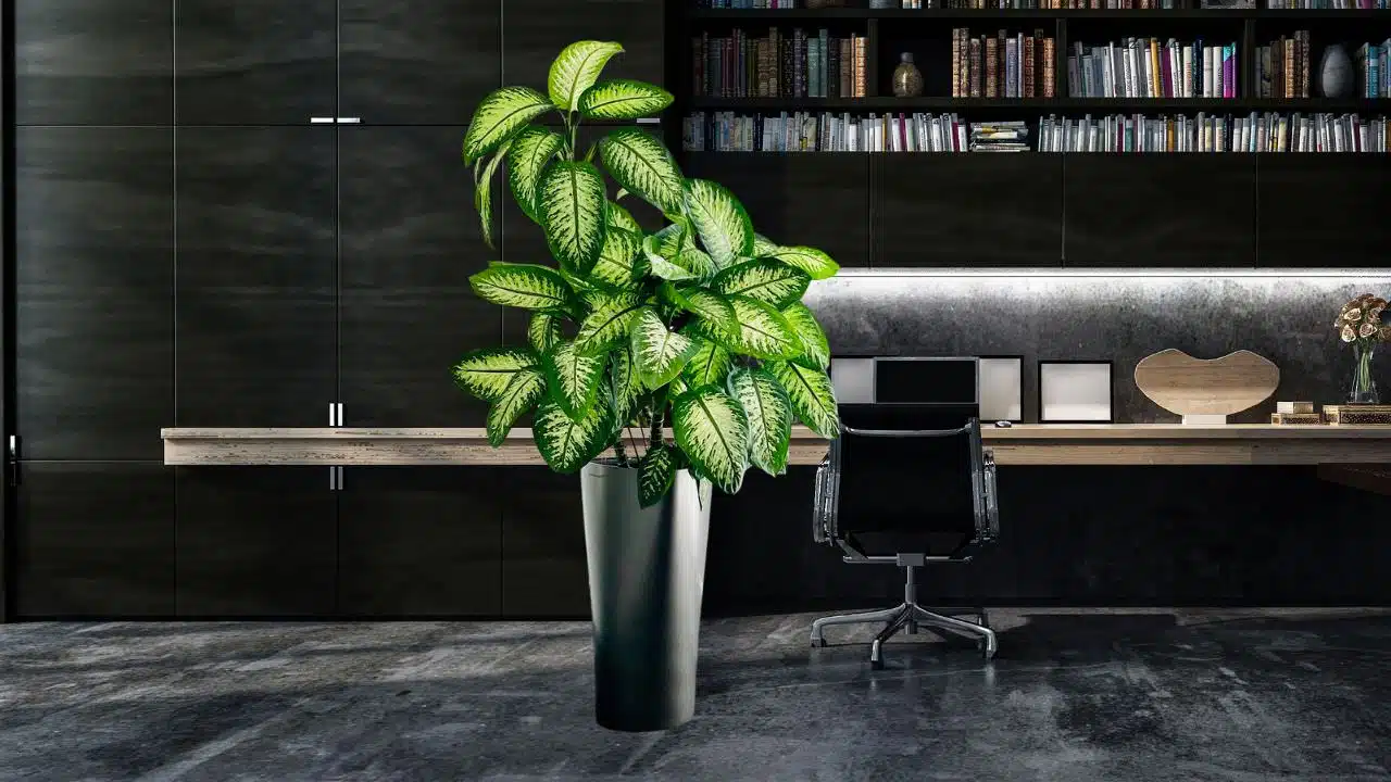 Modern home office with sleek black cabinetry, a wooden desk, designer swivel chair, and a vibrant potted plant enhancing the elegant interior design aesthetic.