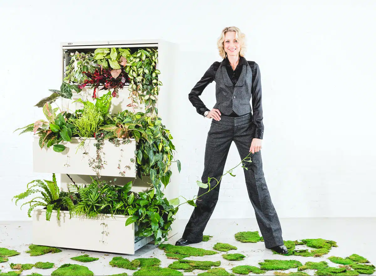 Office Plant Guide - My City Plants