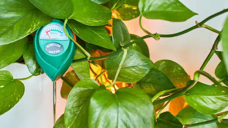 Benefits of soil moisture meter